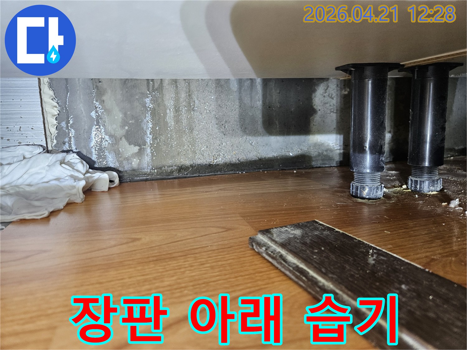 바닥 장판 아래로-습기가 스며들어-곰팡이가 발생한-누수 현장 사진입니다