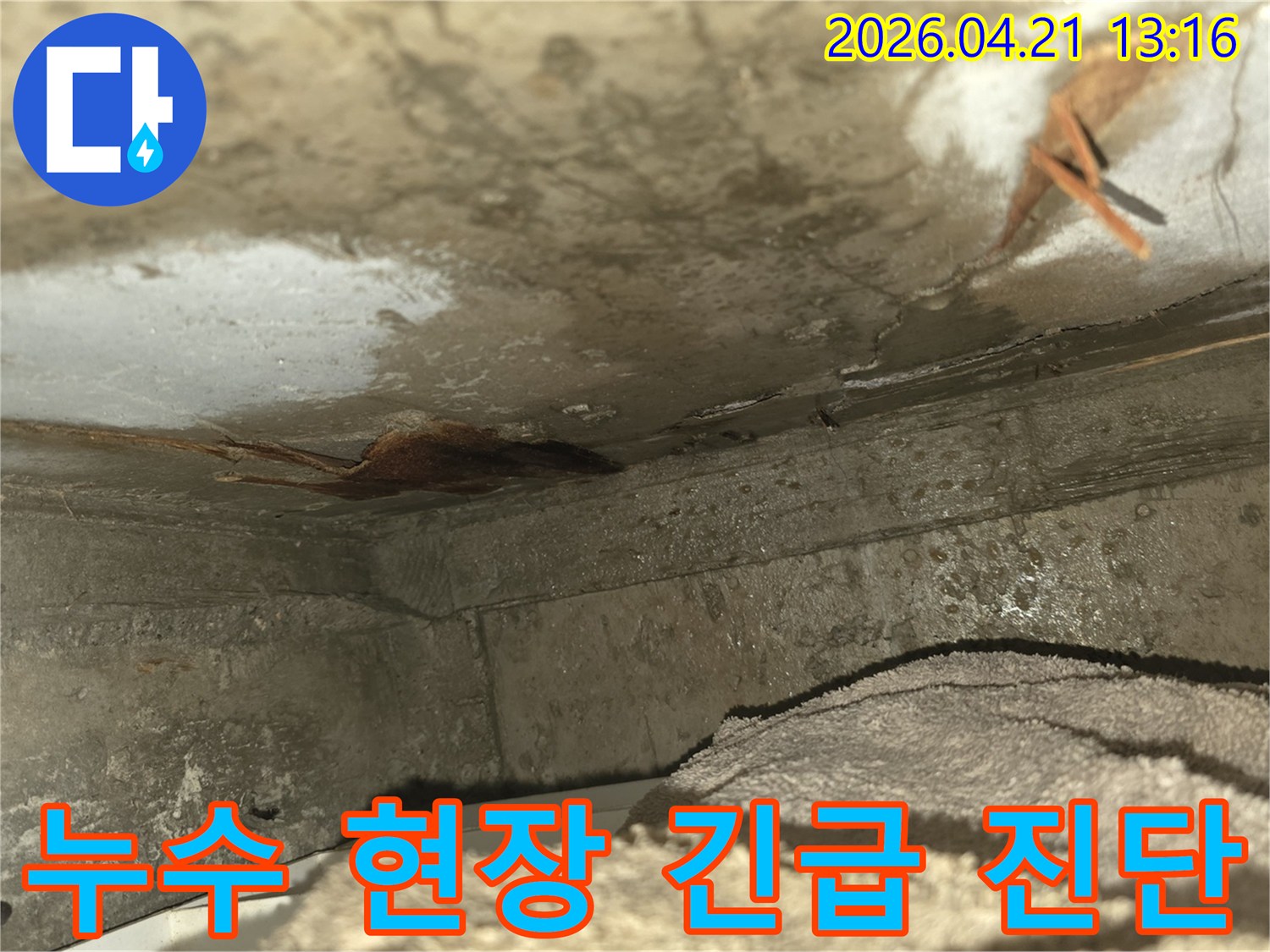 오래된 건물에서-발생하기 쉬운-천장 누수로 인해-벽면이 손상되고-곰팡이가 시작된-모습을 담고 있습니다