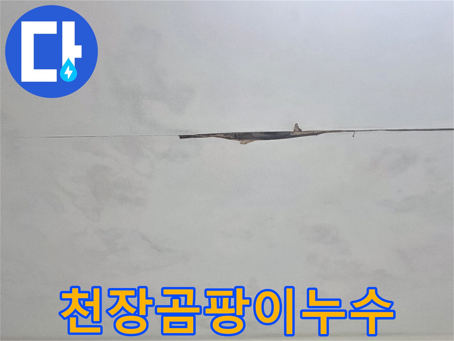 천장 마감재 변색-누수 문제의 장기적인 영향을 보여주는 사진입니다.