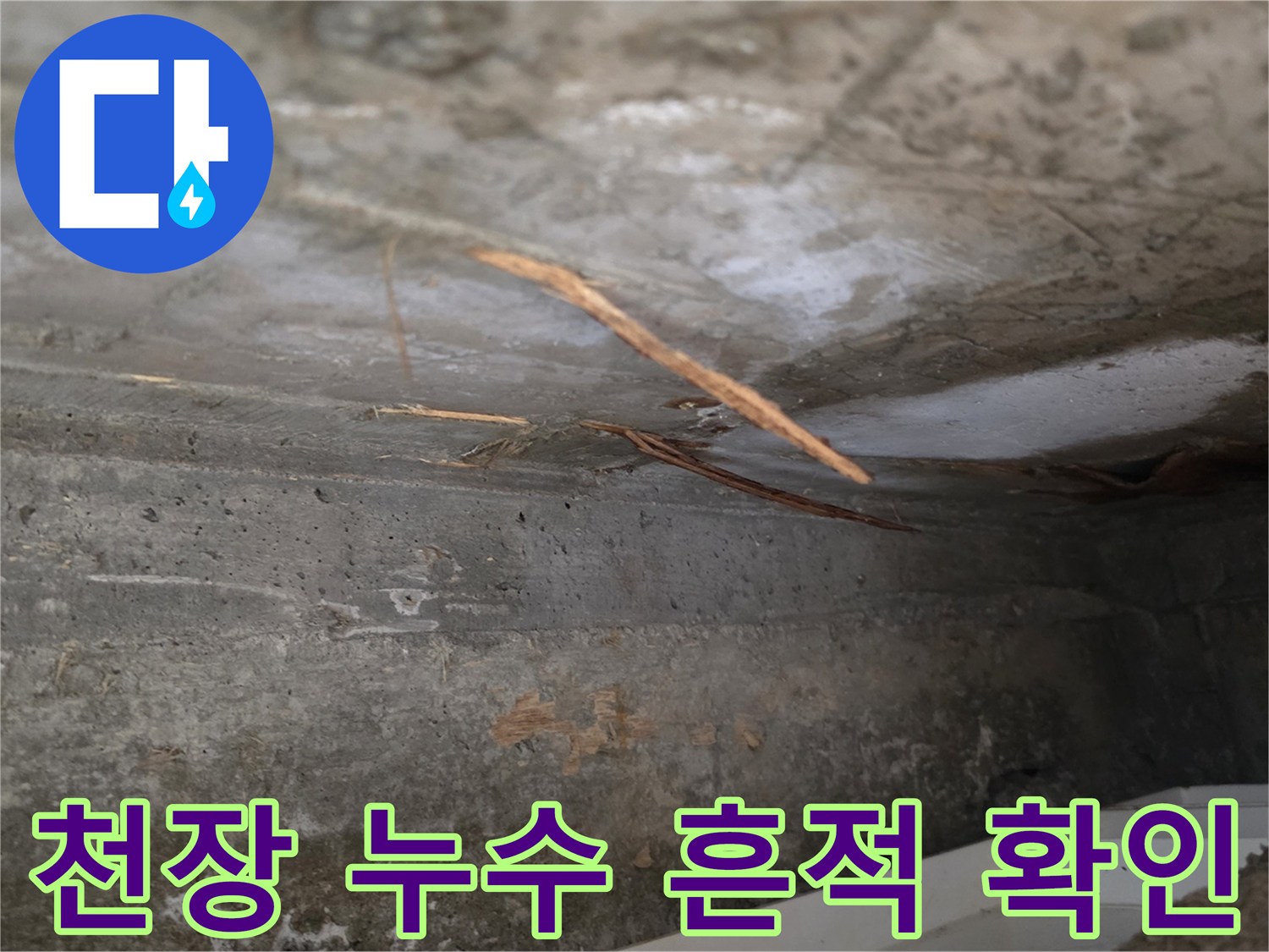 천장 콘크리트에서-발견된-누수 흔적과-젖은 나뭇가지 같은 이물질