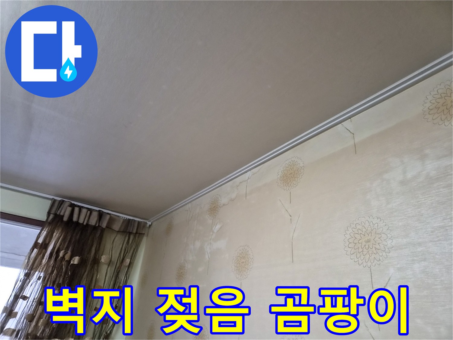 누수로-인해-벽지가-젖어-있고-곰팡이가-생기기-시작하는-모습을-보여주는-사진