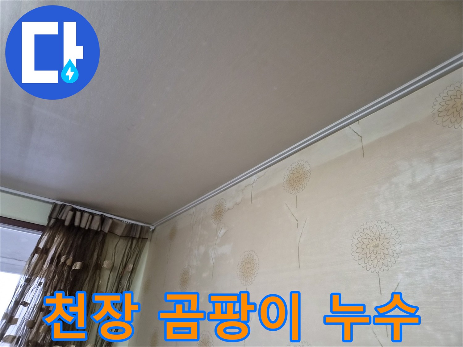 천장-모서리-부분에-누수로-인해-곰팡이가-광범위하게-번식한-모습을-보여주는-사진
