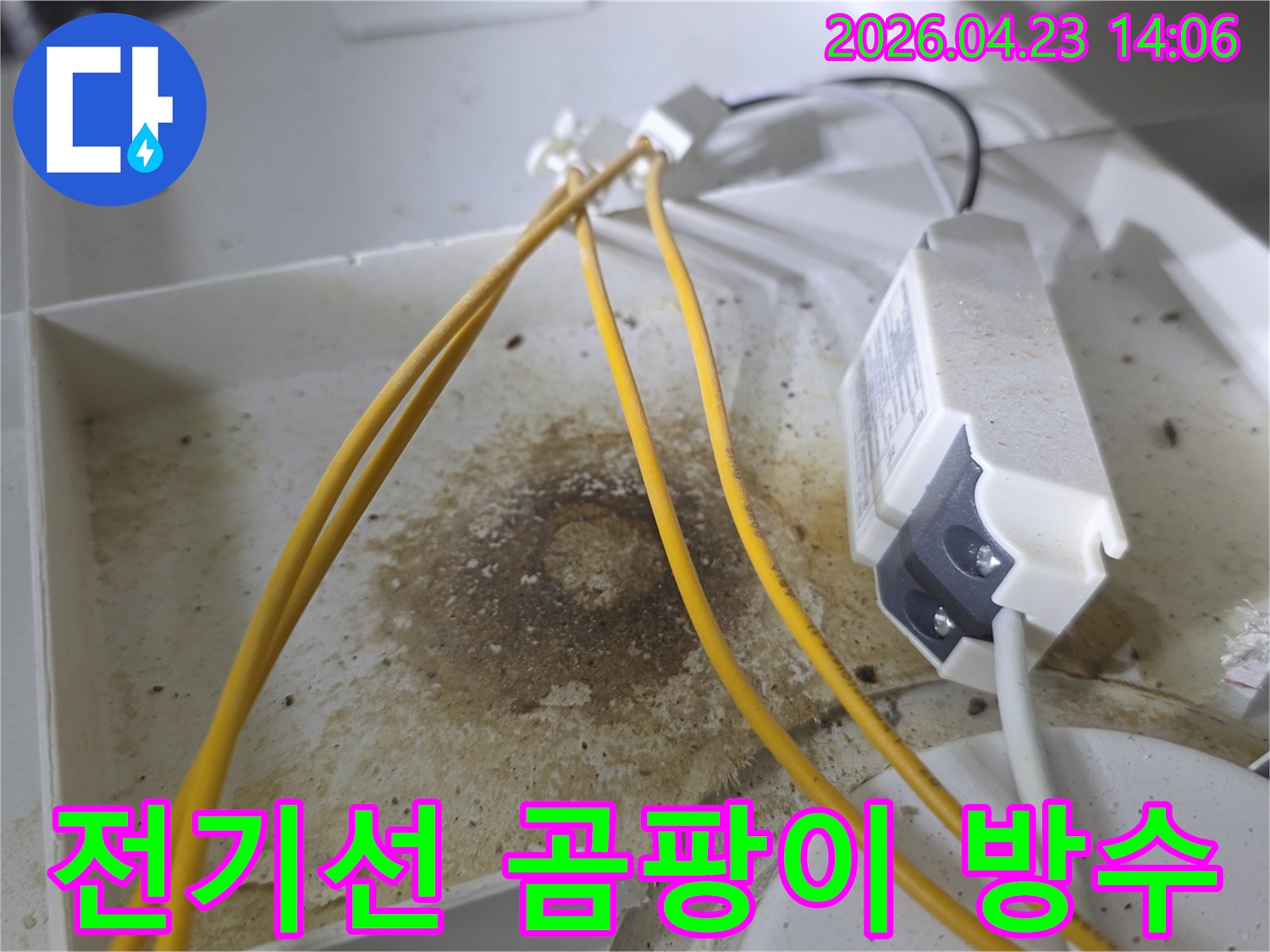 천장 내부 전기선 주변에 짙게 형성된 곰팡이와 물자국-오랜 기간 누수로 인해 발생한 심각한 오염 상태를 보여줍니다-정확한 누수 원인 파악에 필수적인 증거입니다