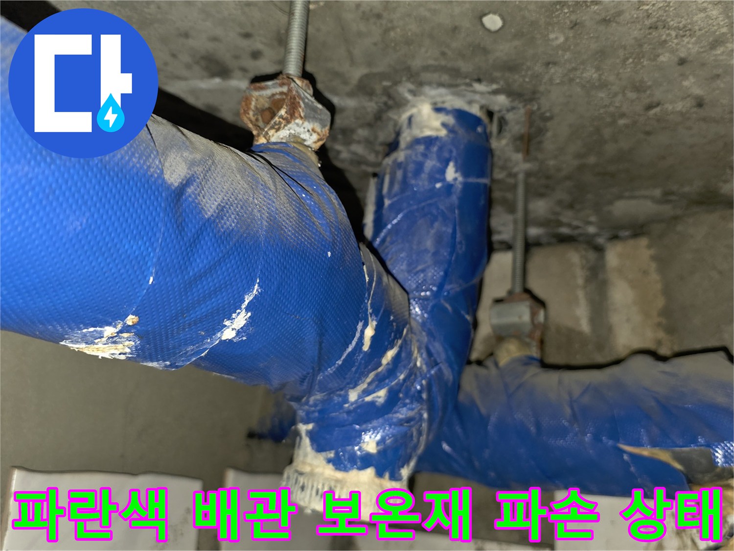 파란색-배관-보온재가-찢어져-내부가-노출된-상태