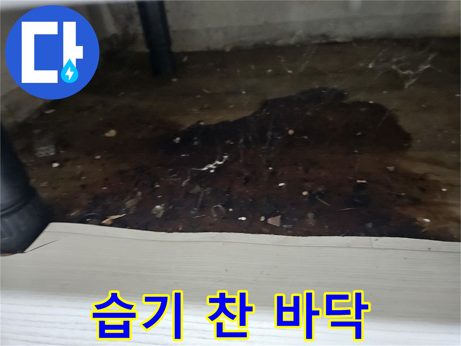 배관에서-물이-새어-나와-바닥에-고여-오염된-상태를-누수-엔지니어가-촬영한-사진
