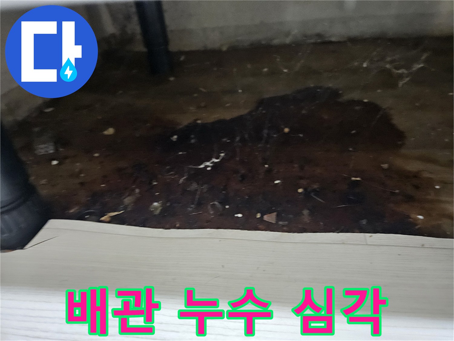 오랜-시간-방치된-누수로-인해-바닥이-심각하게-오염된-현장을-촬영한-사진