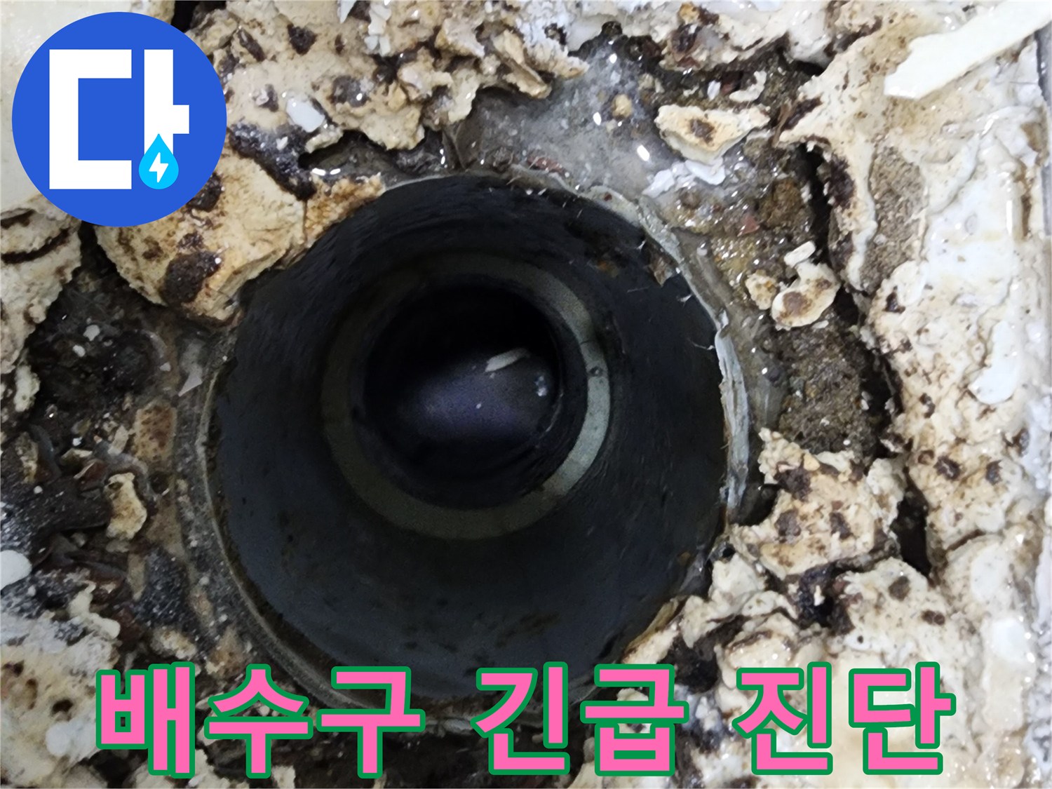 빌라 욕실 배수구 주변에서-발견된 물 고임 현상을-긴급하게 진단하는 모습