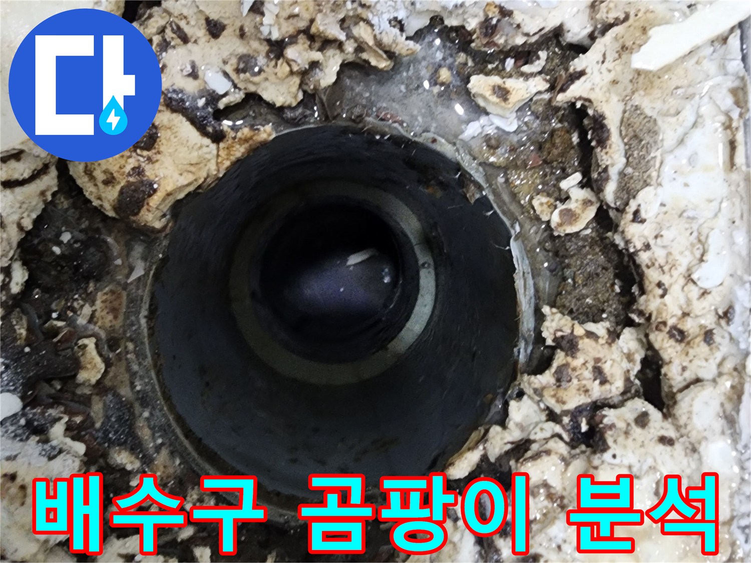 아파트 욕실 배수구 주변에서-발견된 곰팡이와 오염 흔적을 통해-누수 원인을 분석하는 모습