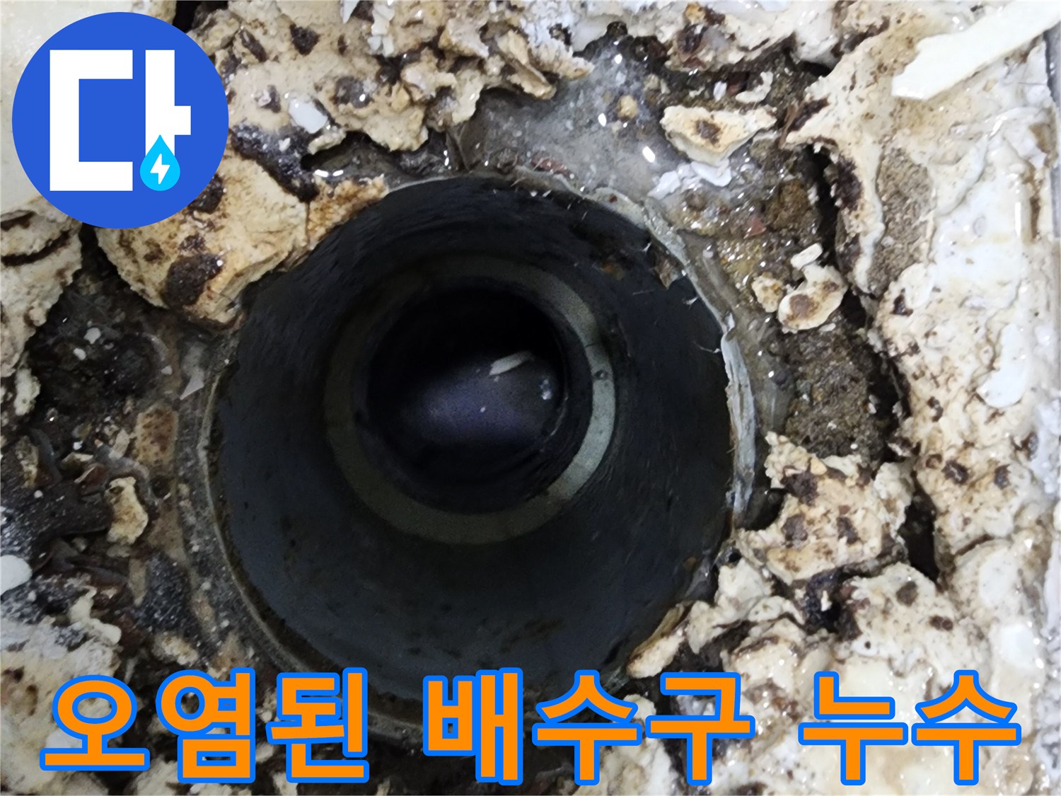 아파트 욕실의 오염되고 손상된-배수구 주변에서-누수 원인을 심층 분석하는 모습