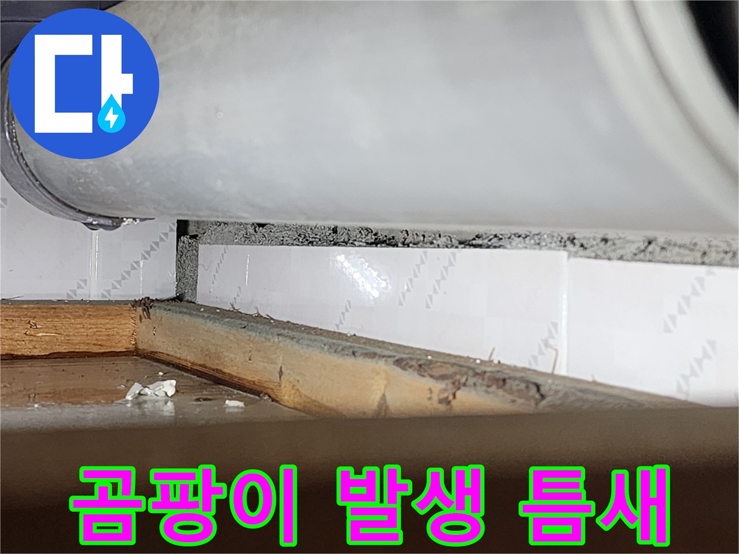 창틀 틈새에-하얗게 피어난-곰팡이와-물때가-선명하게 보이는-누수 현장-사진