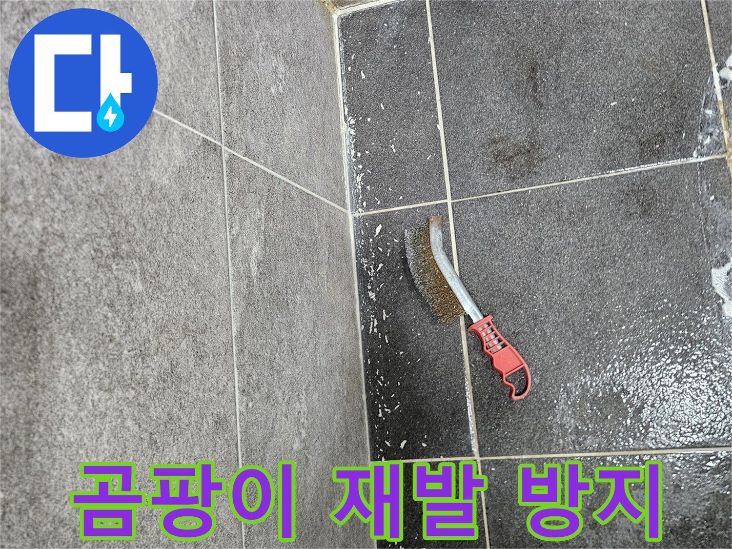 누수 곰팡이의 재발을 막기 위해-타일 벽면의 곰팡이를-전문 솔로 꼼꼼하게 제거하는 작업입니다.