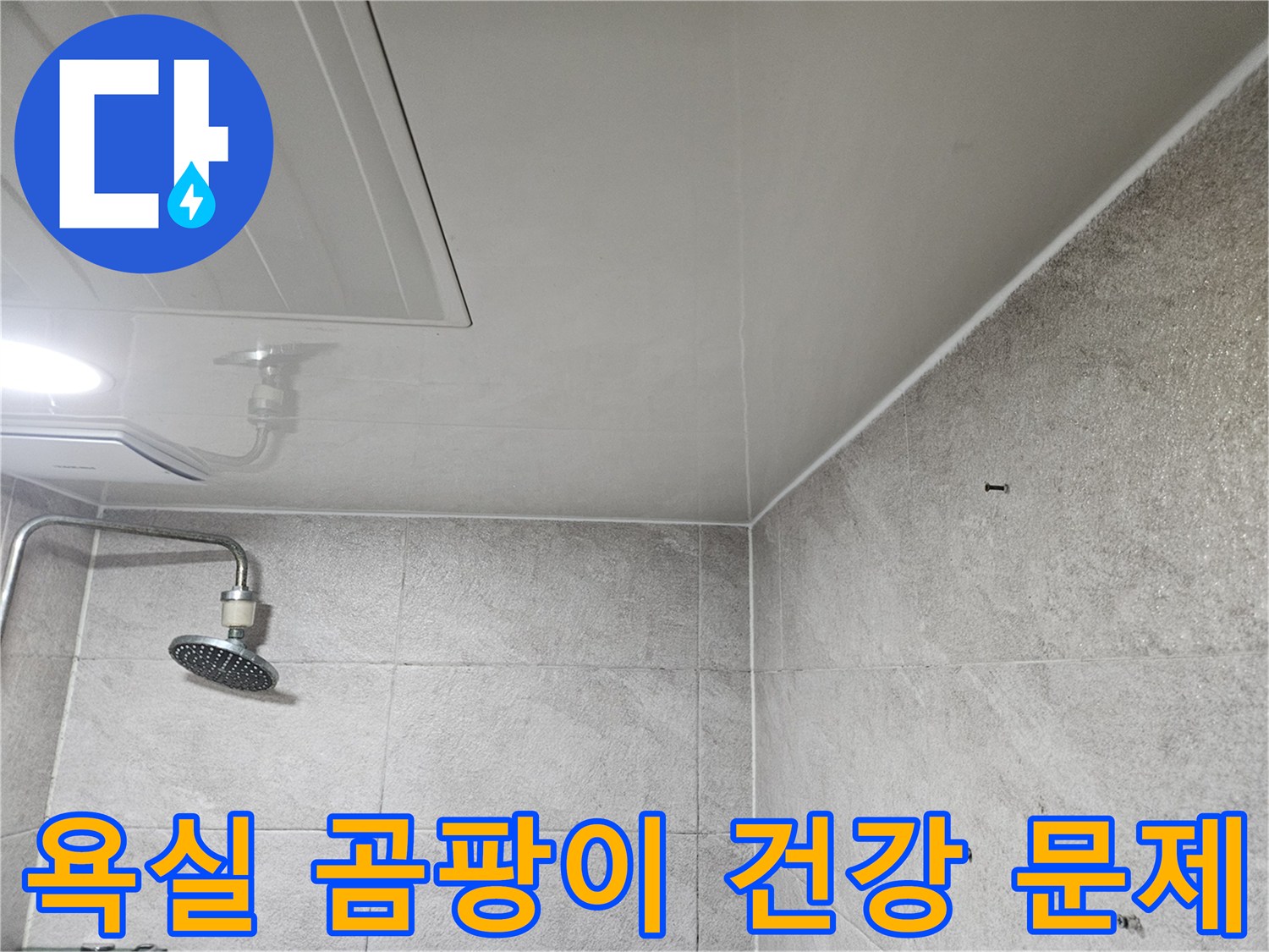 이 사진은-안양 만안구 청호아파트 욕실에서-누수로 인해 발생한-곰팡이 흔적과-그로 인한 건강 문제를-전문가가-확인하는-모습을 보여줍니다.