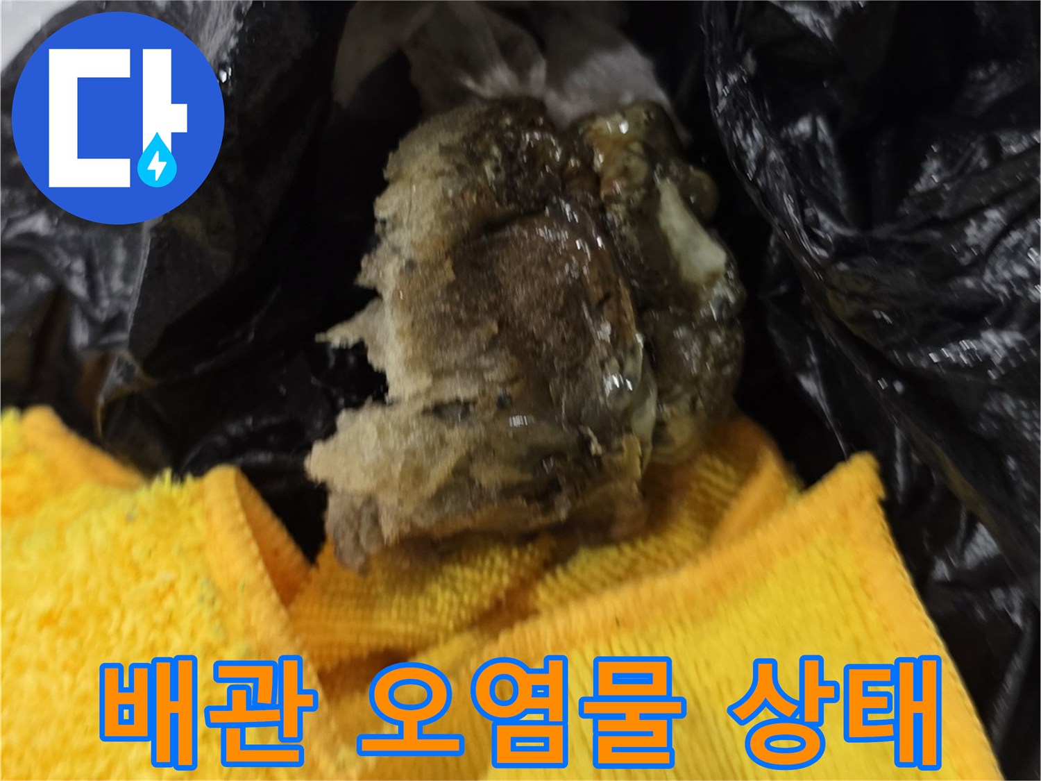 작업 중 발견된-검은색 비닐 속 슬러지 덩어리