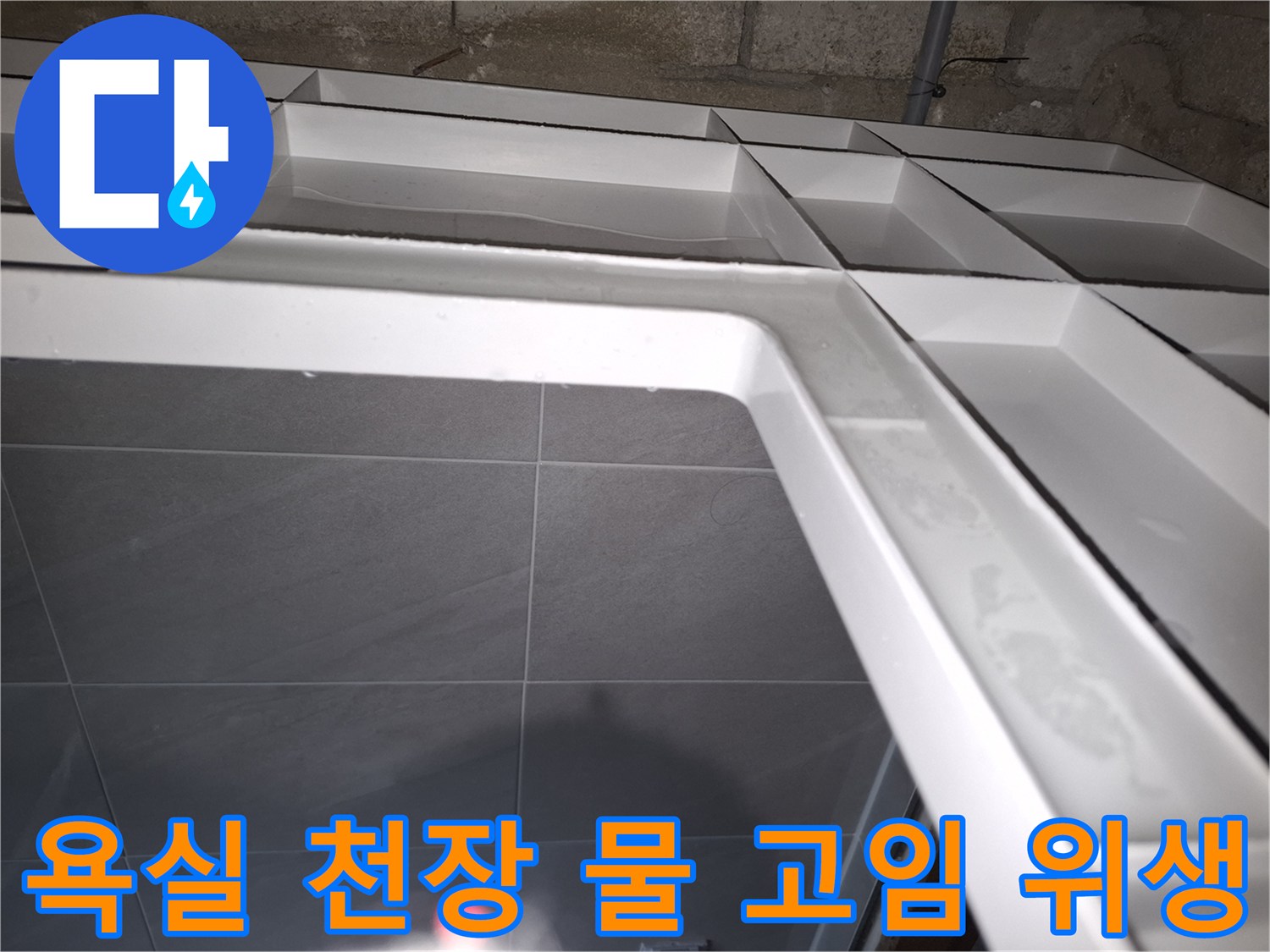 성남 분당 지역의-욕실 천장에서-누수로 인해-물이 고여있는 상태를-면밀히 조사하여-위생 문제를 해결하는 현장 사진