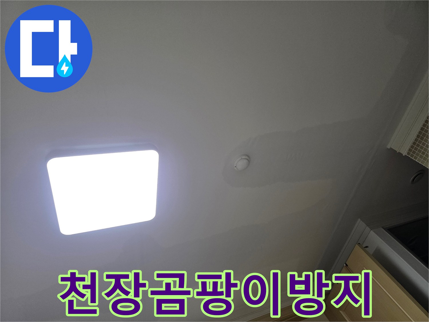 아파트 천장에 누수로 인해 얼룩진-심각한 피해 상황으로-곰팡이 발생의 위험을 보여줍니다.