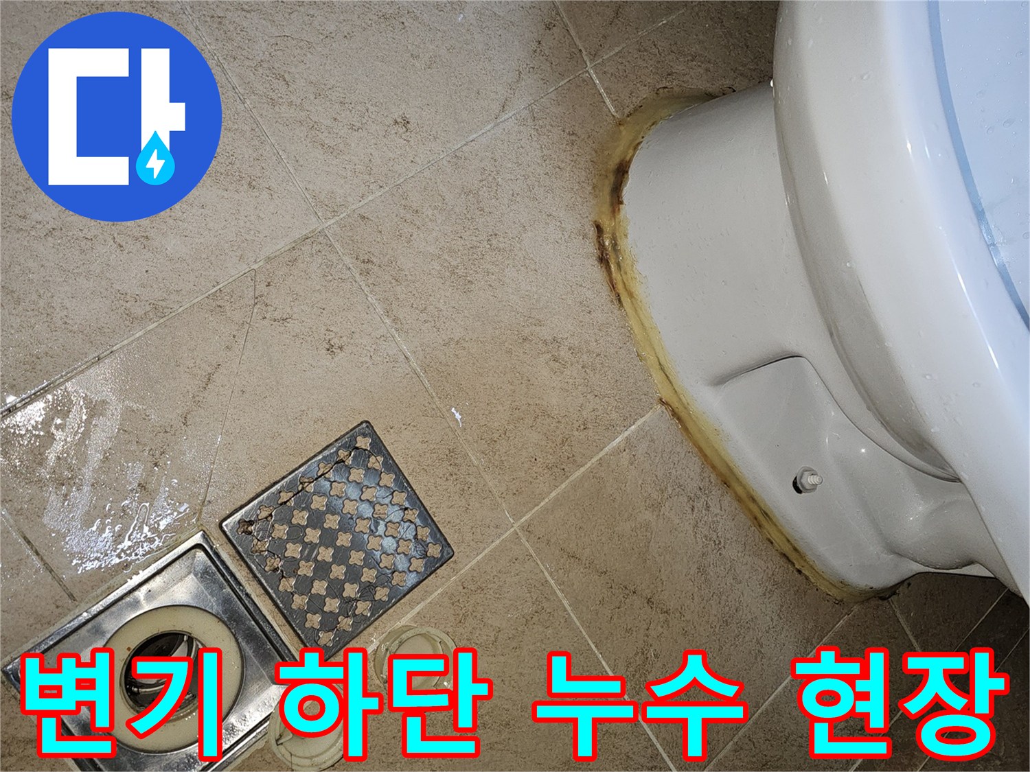 변기 하단에서 발생한 누수-타일 틈새로 물이 스며드는 모습-배수구 주변 물기 확인