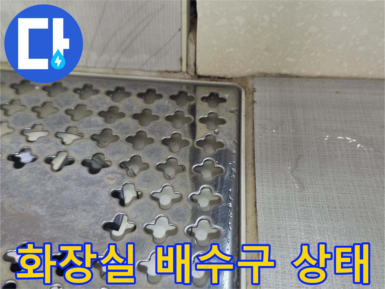 성동구-화장실-배수구-주변-타일-및-유가-상태