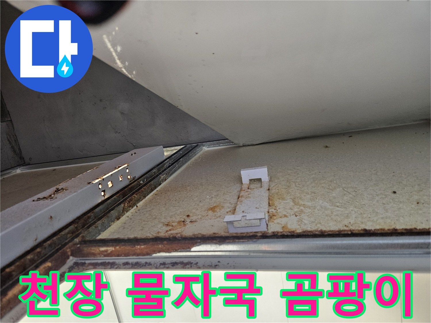 욕실 천장에서 누수로 인한 물자국과 곰팡이-위생 문제 해결