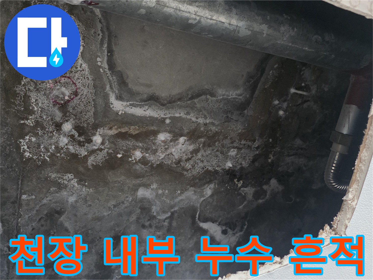 안양 현장-배관 주변의 젖은 콘크리트와 백화 현상