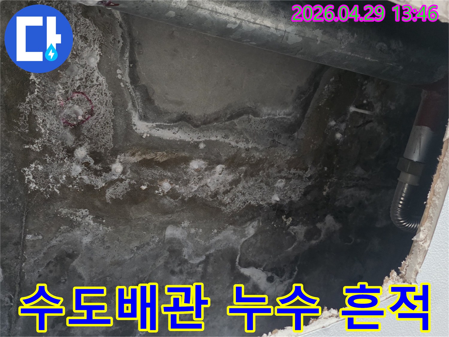 천장 콘크리트 표면에-누수로 인한 물자국과-배관 주변의 손상된 모습이 담긴 사진입니다.