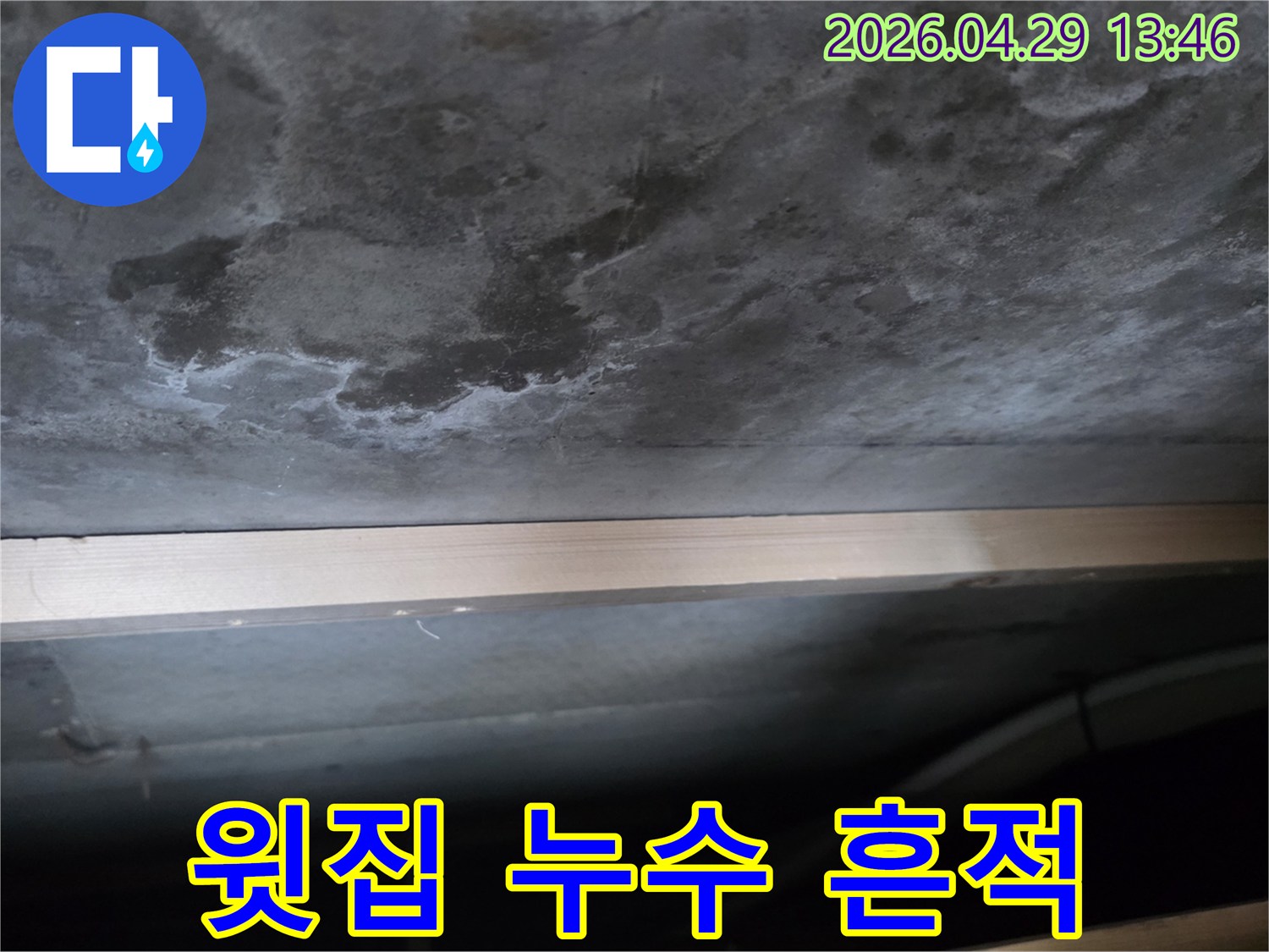 천장 콘크리트 표면에 물이 새어 생긴 얼룩과-하얀 백화 현상이 뚜렷하게 관찰되는 모습입니다.