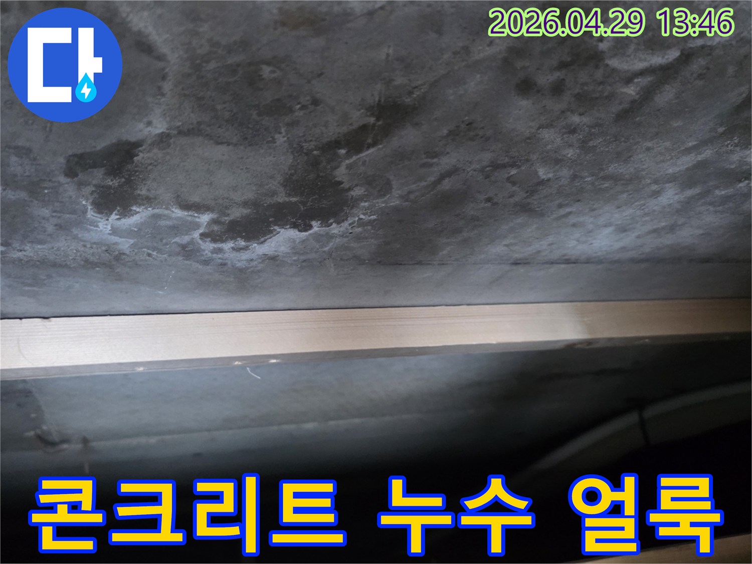 콘크리트 천장 표면에 물이 스며들어 생긴 어두운 얼룩과-하얀 백화 현상이 뚜렷하게 관찰됩니다.