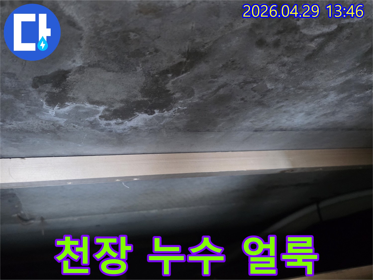 콘크리트 천장에 물이 새어 생긴 어두운 얼룩과-하얀 백화 현상이 뚜렷하게 보이는 사진입니다.