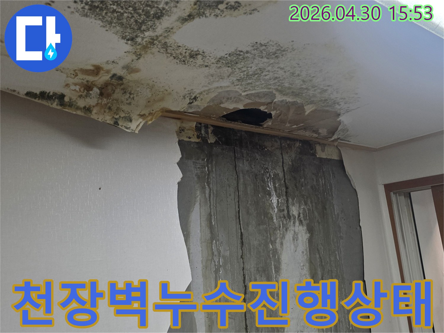 천장과 벽에 물이 새어 벽지가 훼손되고 곰팡이가 번식한 심각한 누수 피해 현장을 보여주는 사진입니다.