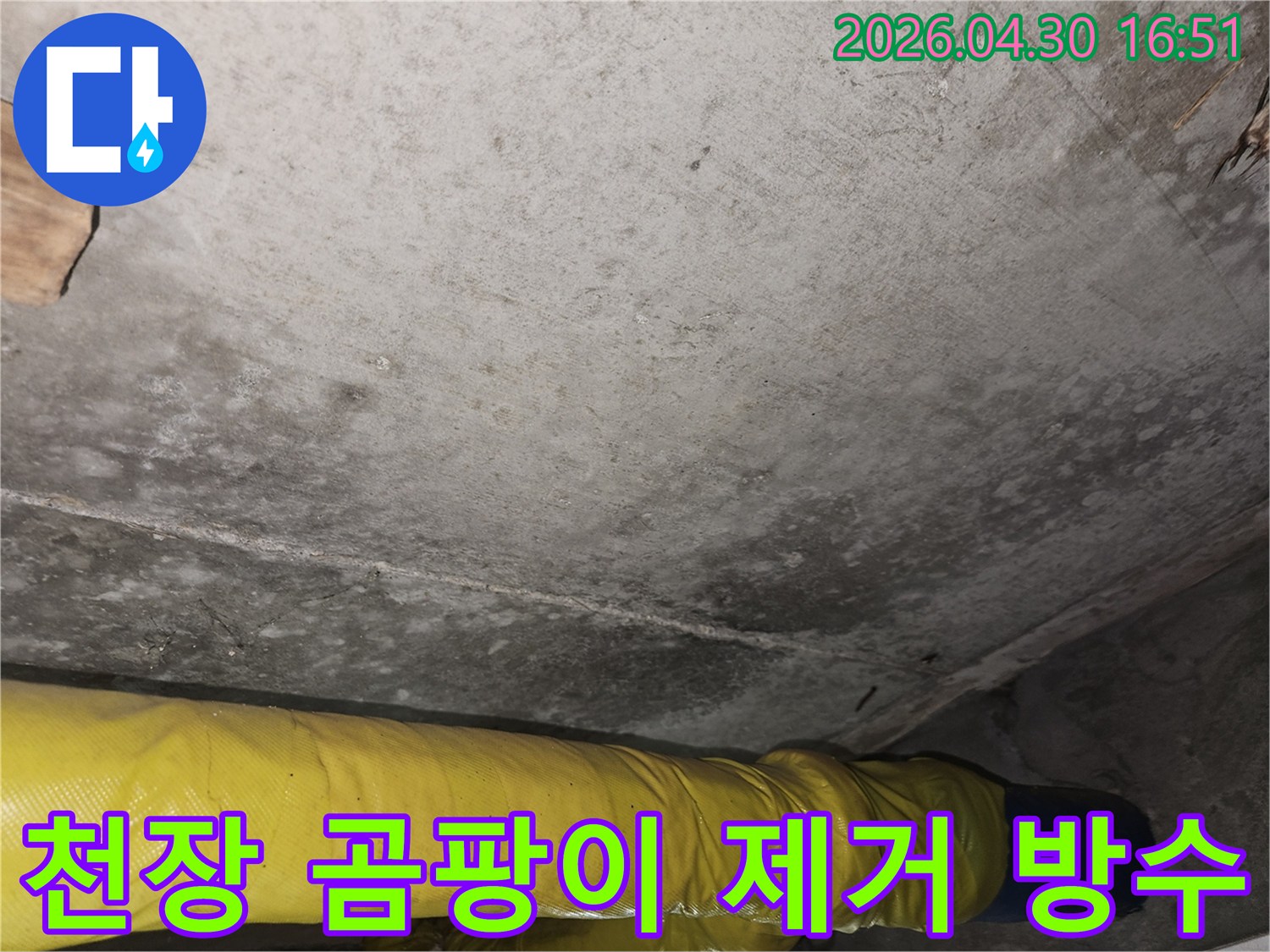 포천 일동면 아파트 천장에서-발견된 누수 곰팡이를-누수 전문가가-제거하고 방수 처리하는-과정을 보여주는 이미지