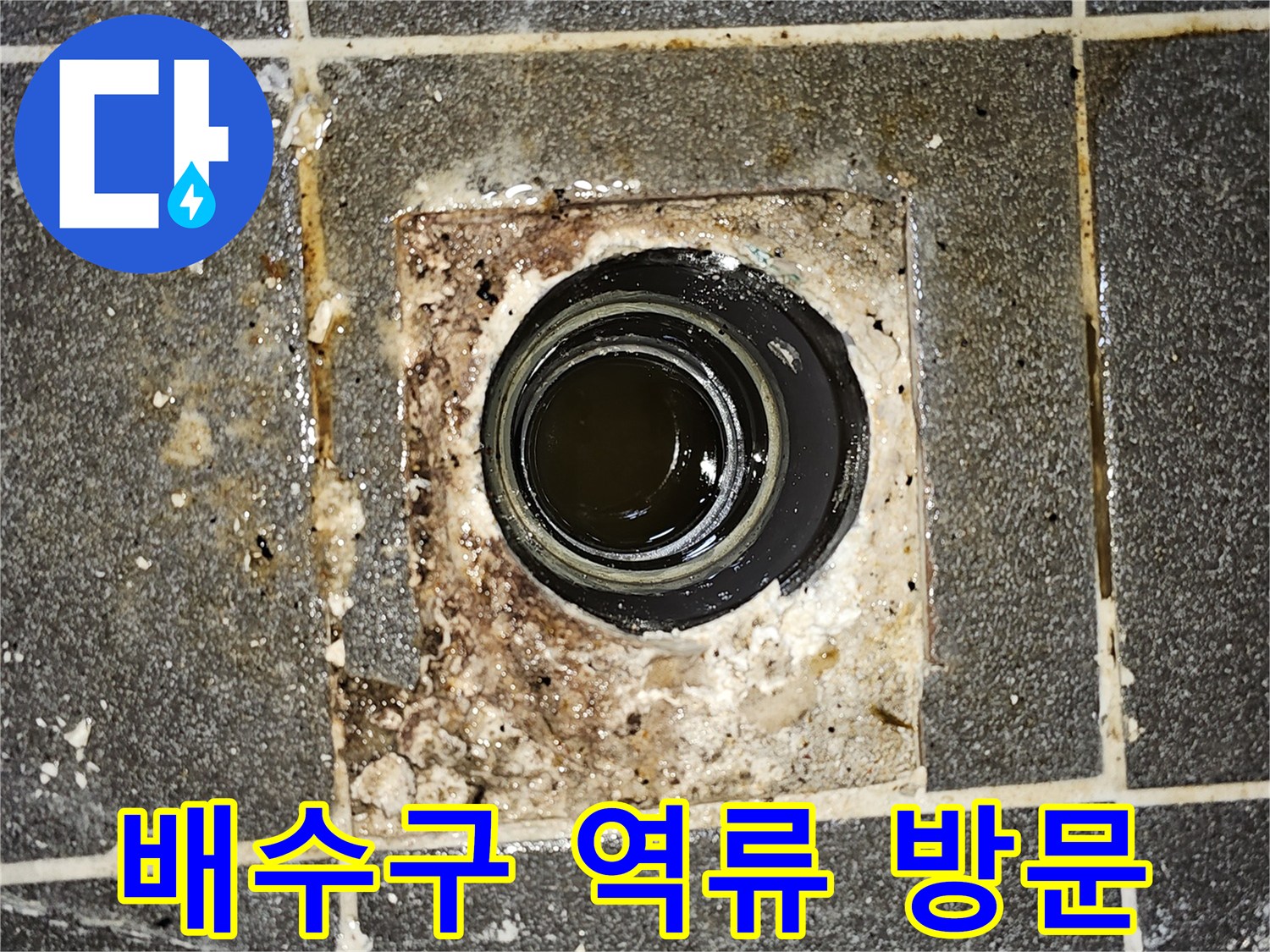 배수구에서 오수가 역류하여-바닥에 고여있는 모습을 보여주는-긴급한 누수 상황의 사진입니다.