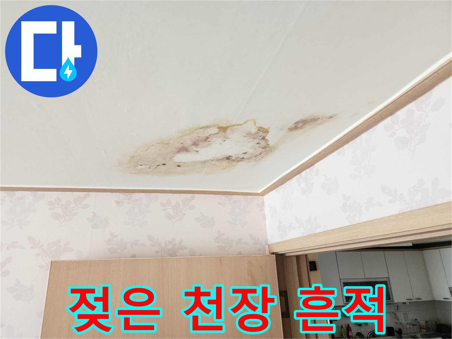 화성향남-천장 벽지에 나타난 누수 의한 물자국과 곰팡이
