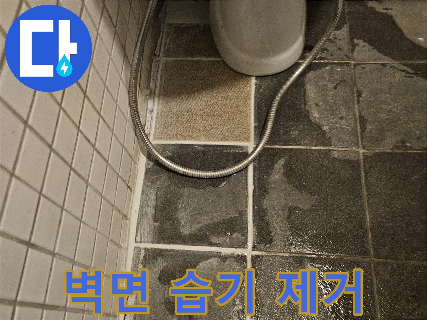 욕실 벽면 타일의-심한 습기로 인한-손상과 곰팡이를 보여줍니다.