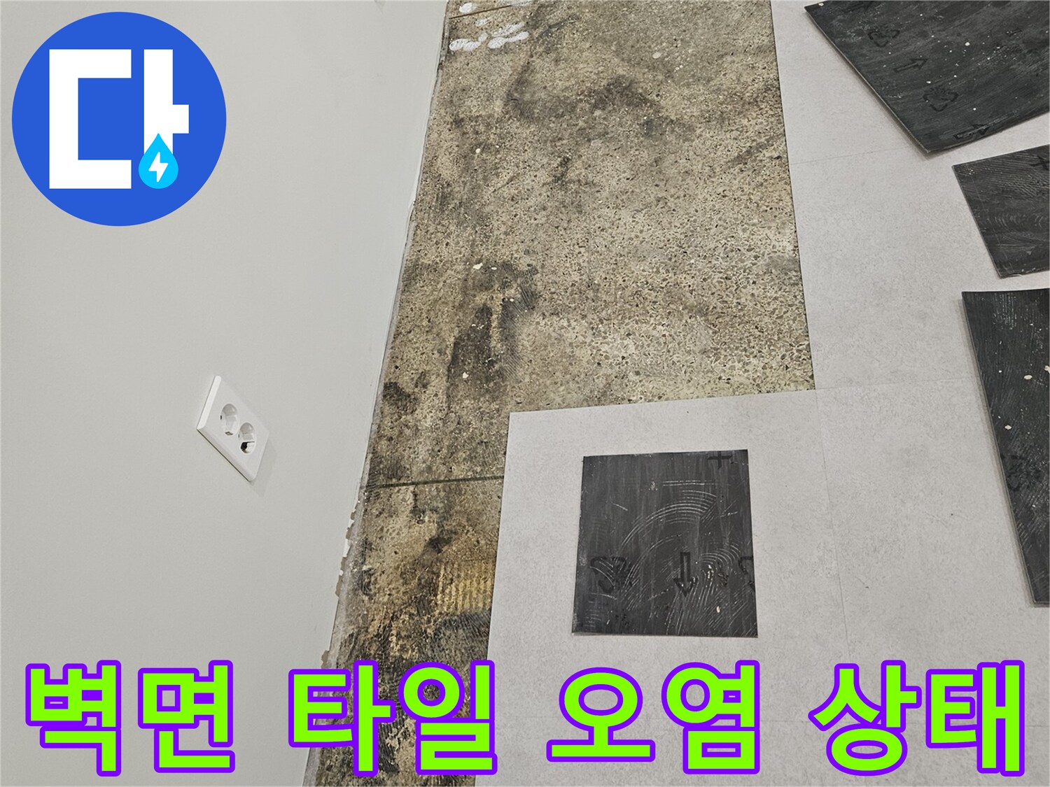 양천구 사무실-벽면 타일의 곰팡이와 물샘 흔적 사진
