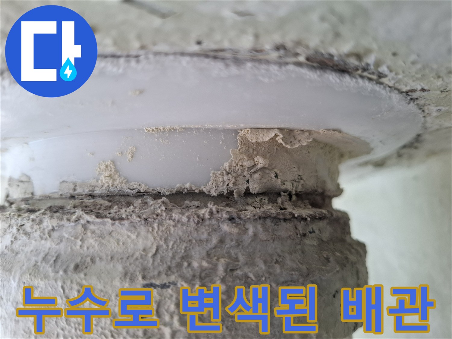 하얗게 변색된 천장 마감재와 누수가 의심되는 배관 주변 부위