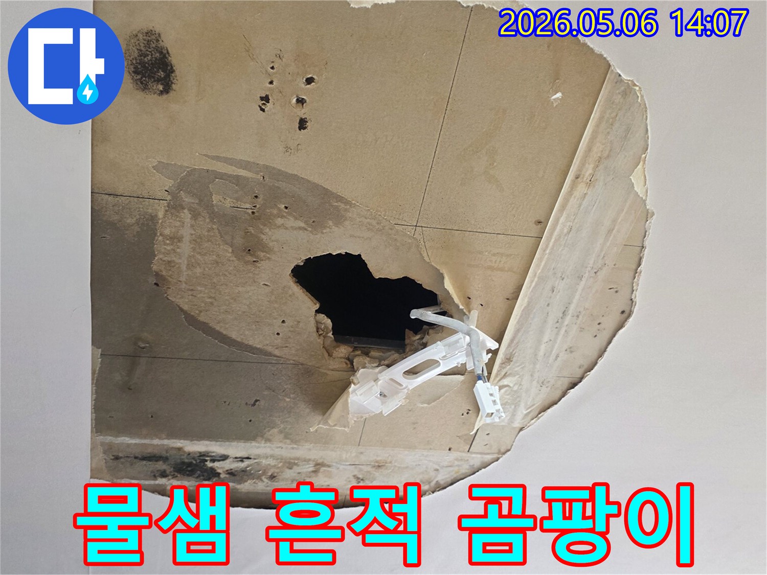 천장 마감재가 물에 젖어-파손되고-검은-곰팡이가-피어난-심각한-누수-현장