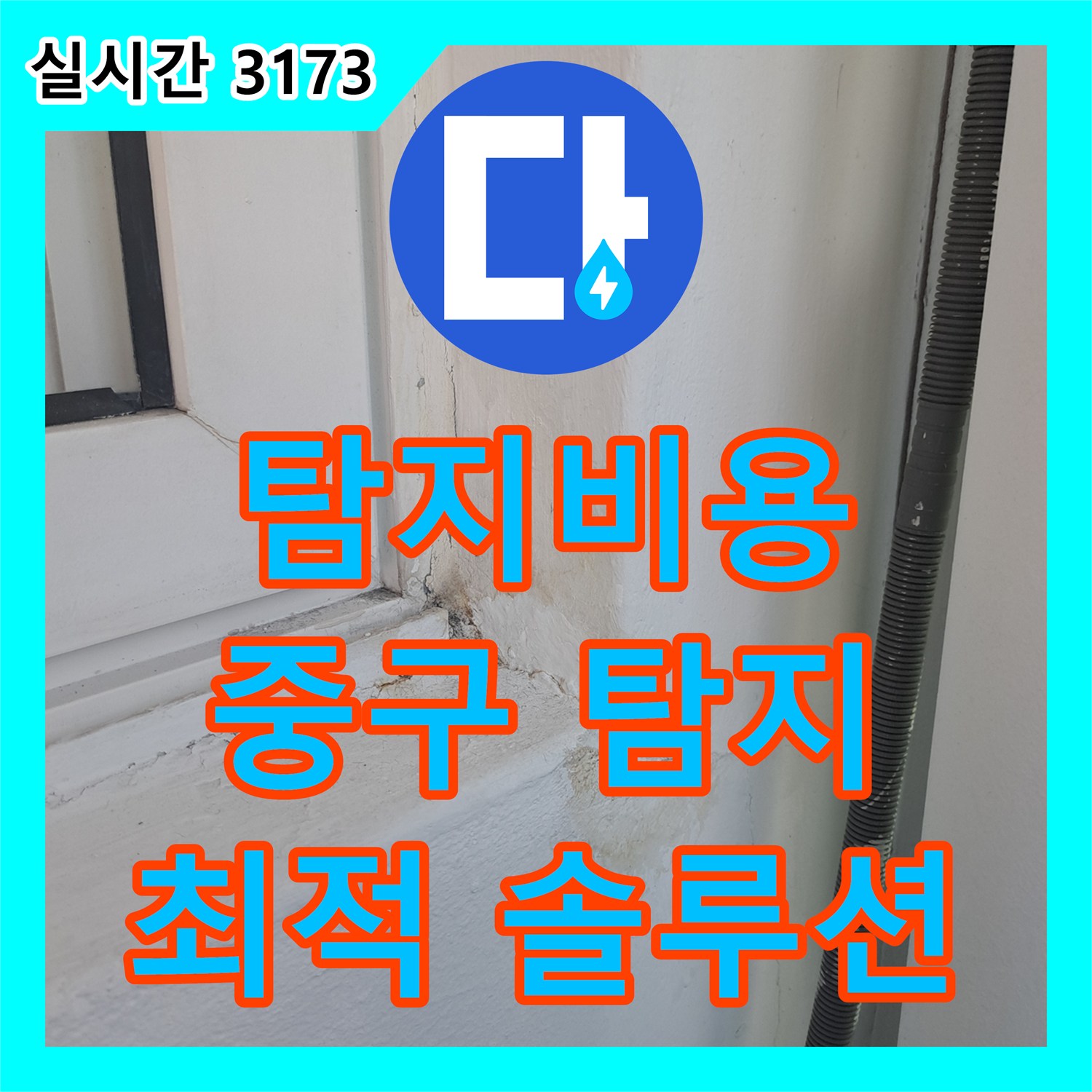 누수탐지비용 베란다 천장 누수, 정밀 탐지로 원인 파악 및 해결, 서울 중구