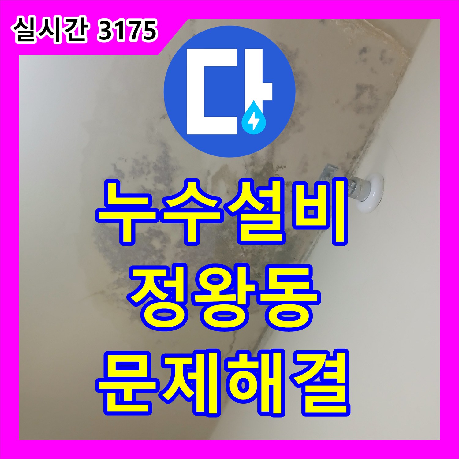 누수설비, 시흥시 아파트 천장 누수 원인을 정밀하게 탐지하여 보수하는 작업 - 시흥시 정왕동