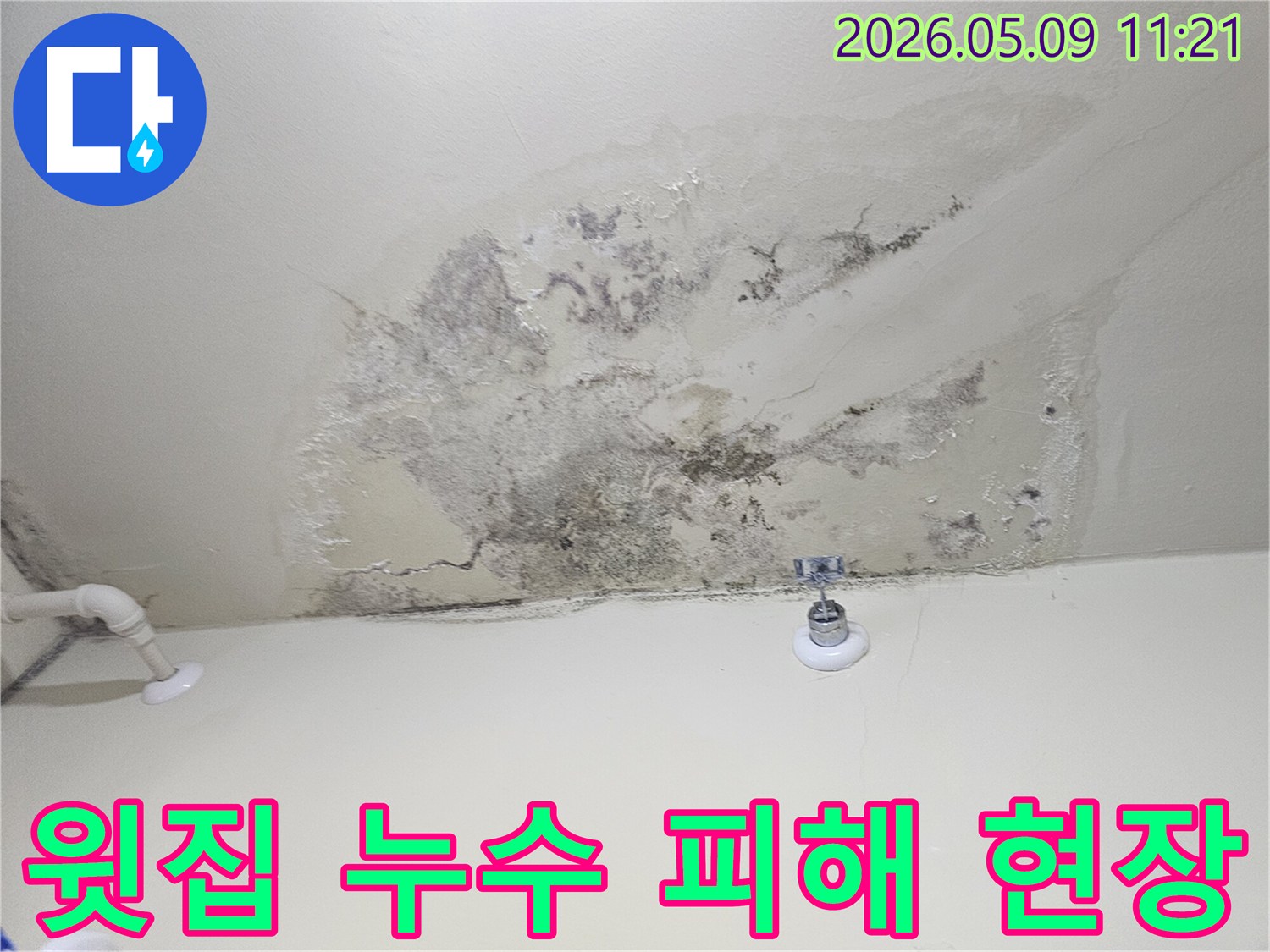 윗집 누수로 인해 천장 벽지가 젖고-곰팡이가 번진 상황을 보여주는 이미지