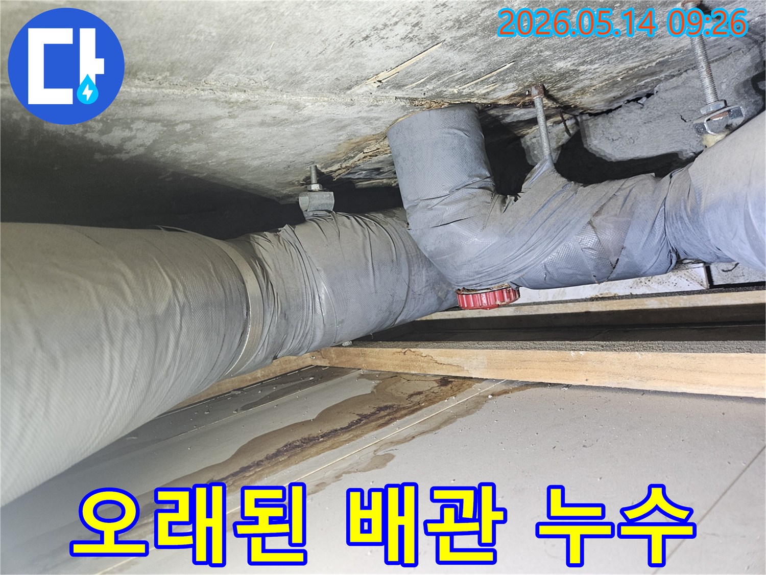 물이 새어 나와 축축하게 젖은 천장과-그 위로 지나가는 보온 배관의 연결부위에서 의심되는 누수 지점