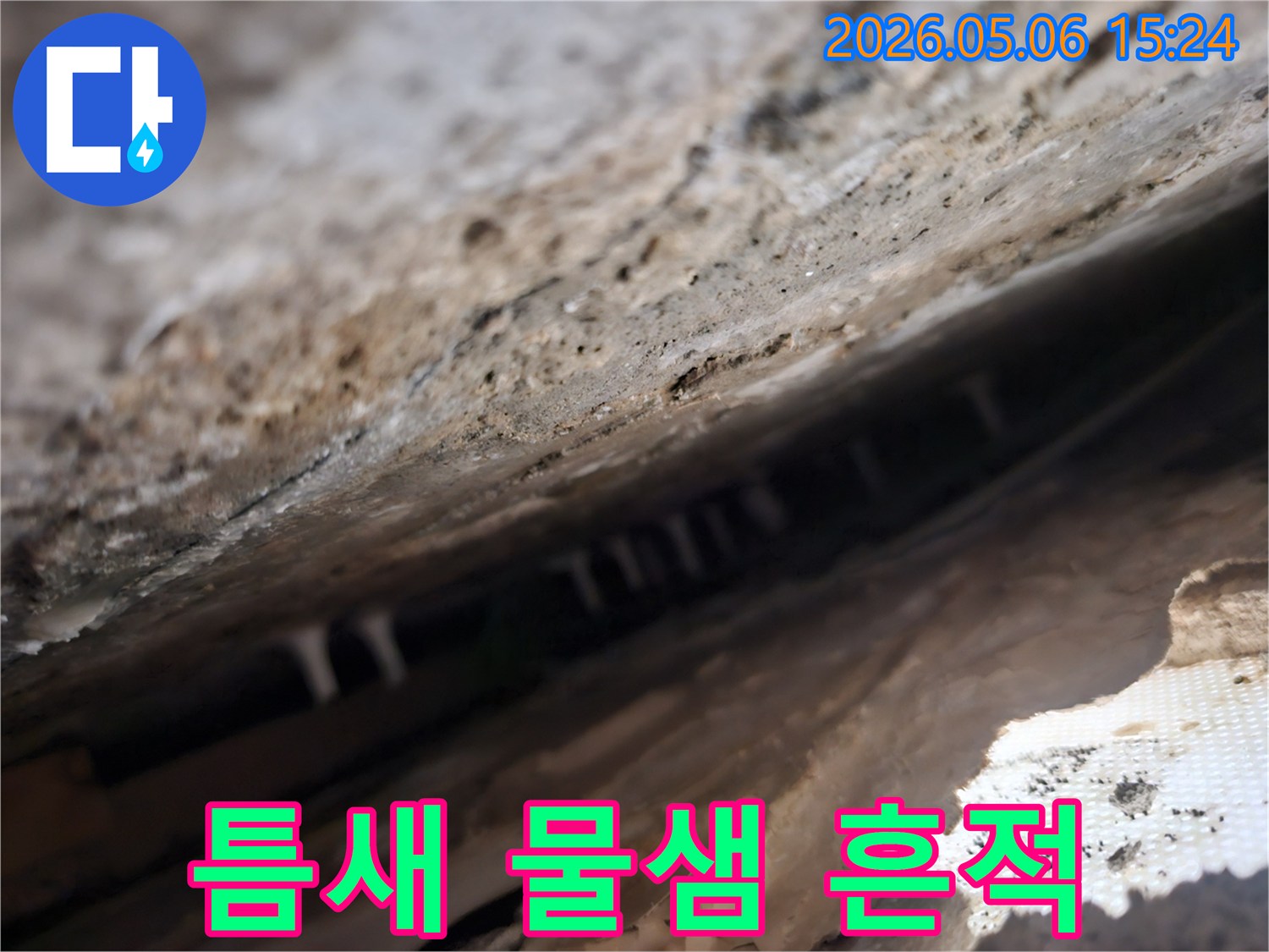 건물-틈새-사이로-물이-새면서-생긴-하얀-석회질-침전물을-확대하여-보여주는-사진입니다