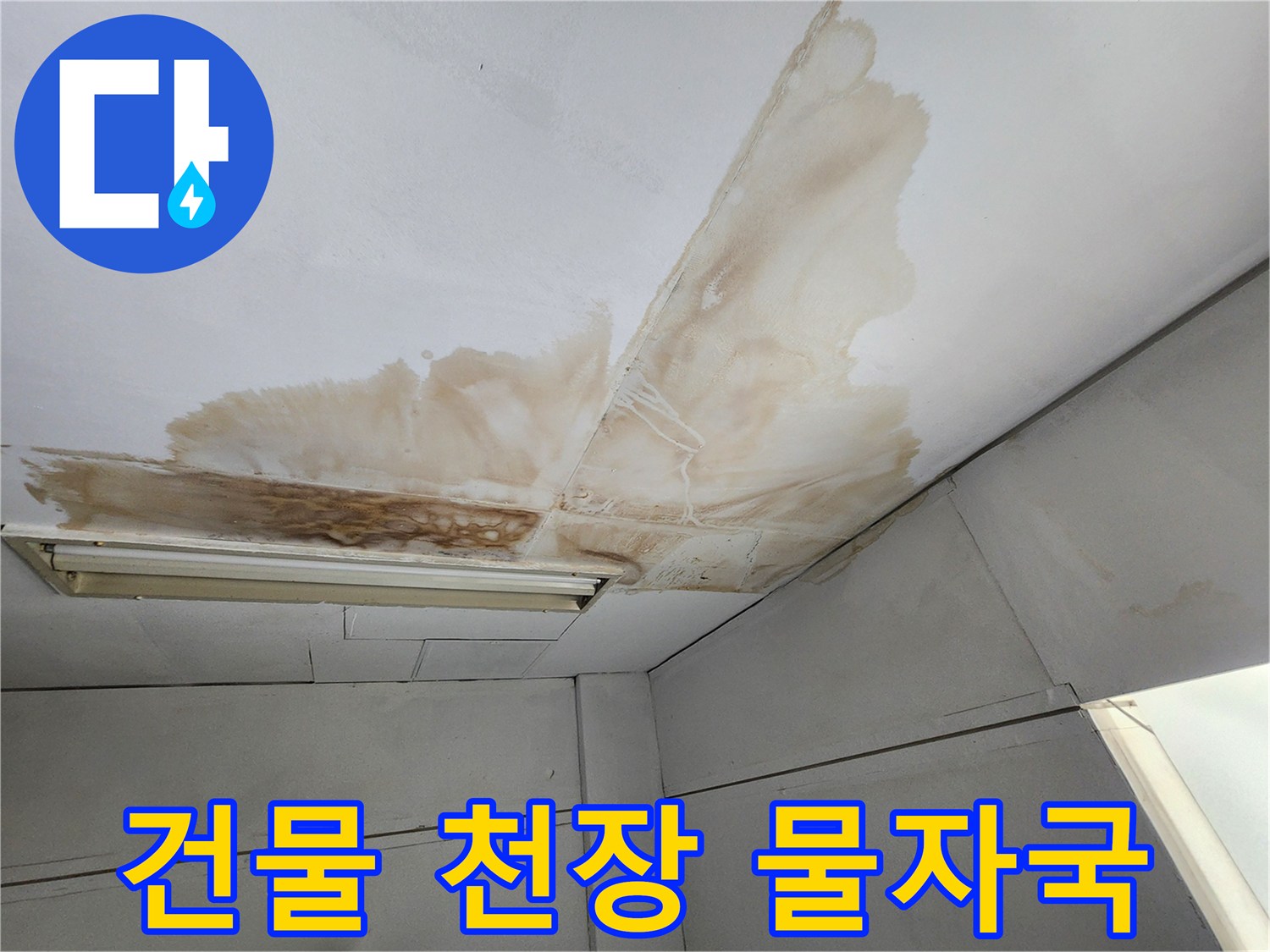 건물 천장 표면에 물이 새어 발생한 갈색 얼룩과 곰팡이가 보이는 모습