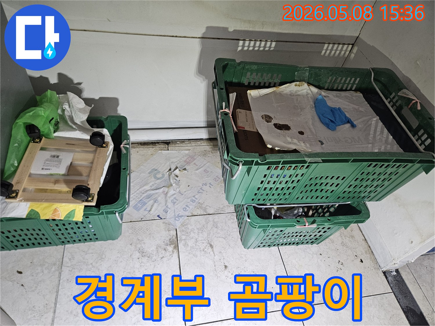 누수-엔지니어가-현장에서-벽과-바닥-경계부에-발생한-심각한-곰팡이-상태를-점검하는-모습
