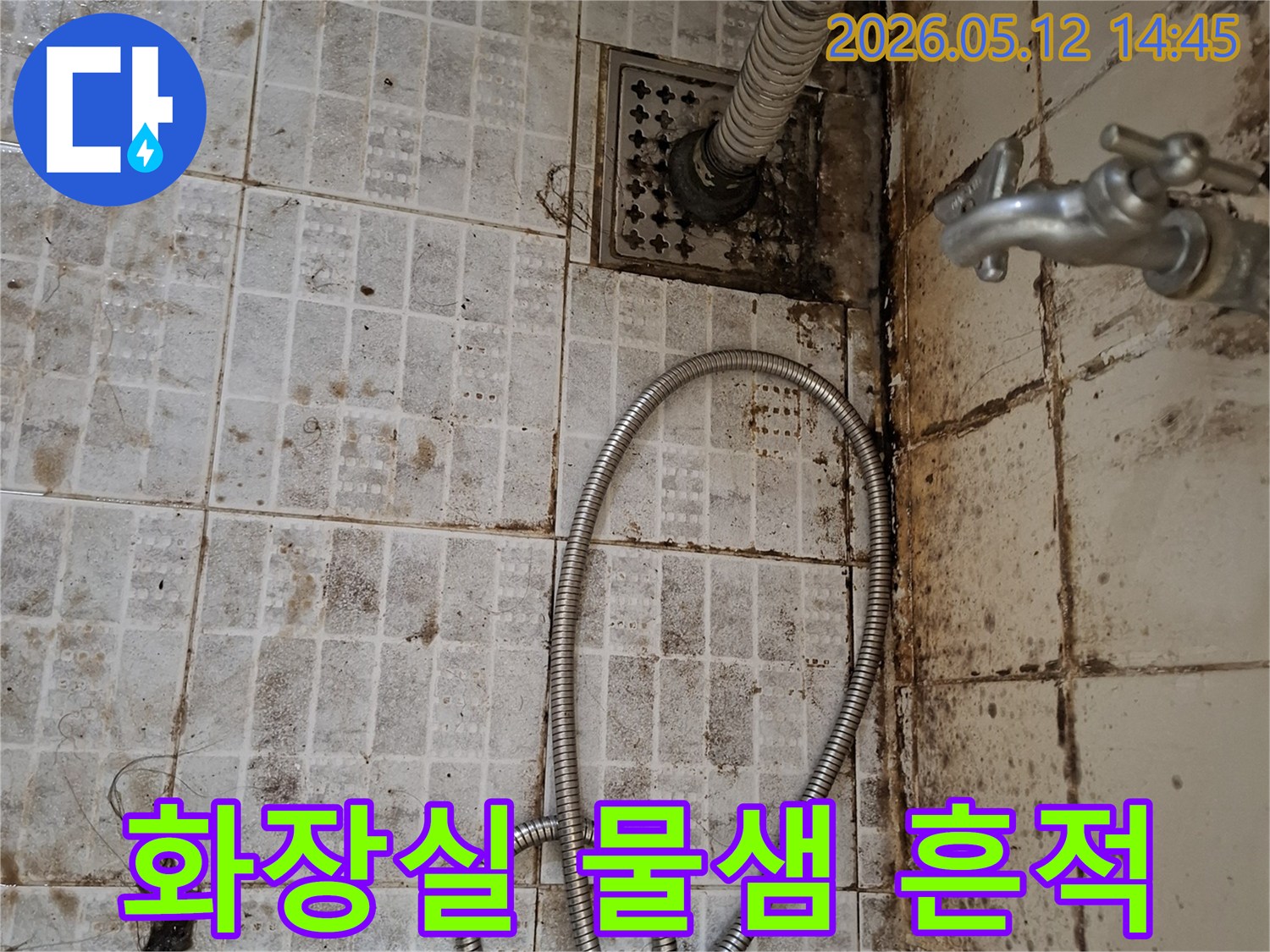 오래된-아파트-화장실-바닥의-타일-틈새와-배수구-주변에-심각하게-발생한-물샘-흔적과-곰팡이-모습입니다