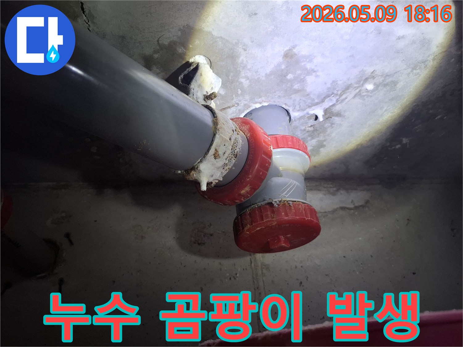 배관 누수로 인해-주변에 곰팡이가 발생하여-위생 문제가 우려되는-현장의 모습입니다
