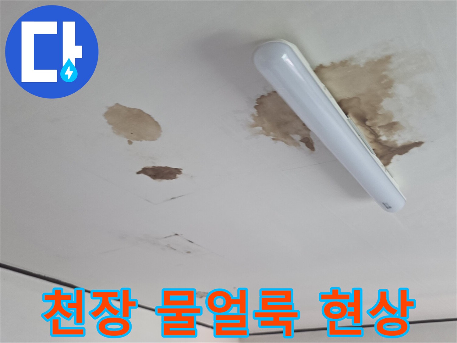 인천 유동 빌라 천장 전등 주변의 누수 얼룩 사진