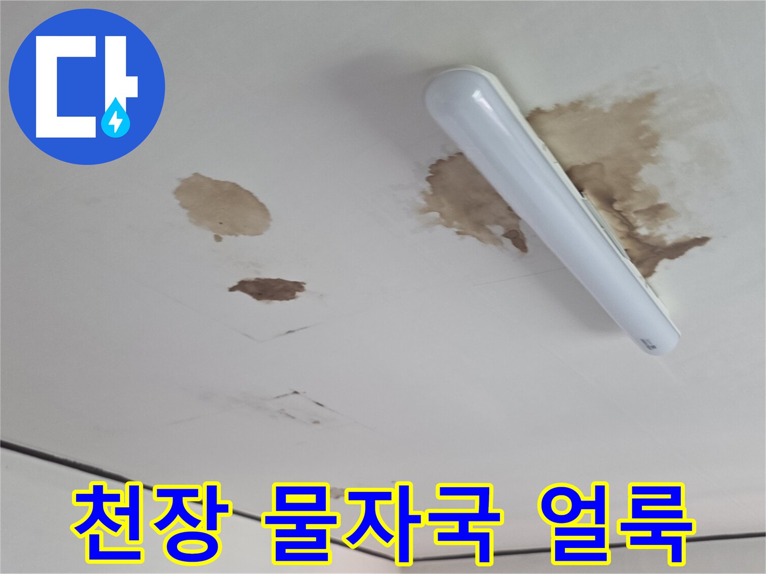 인천 유동 빌라 천장 전등 주변의 누수 흔적과 갈색 물얼룩