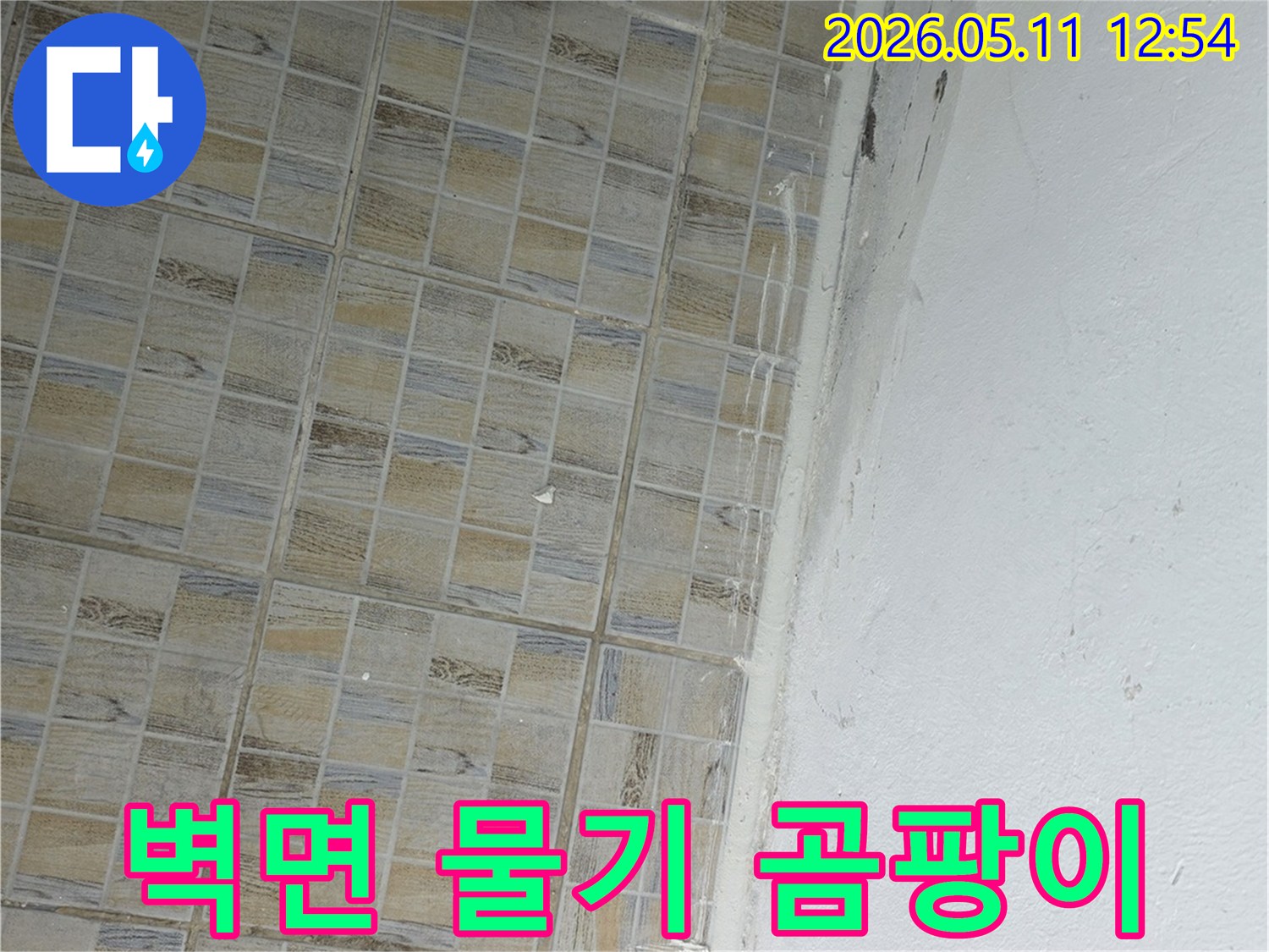 이 이미지는-양천구 신안파크아파트의-벽면-하단에서-누수로-인해-발생한-물기와-곰팡이를-보여줍니다.