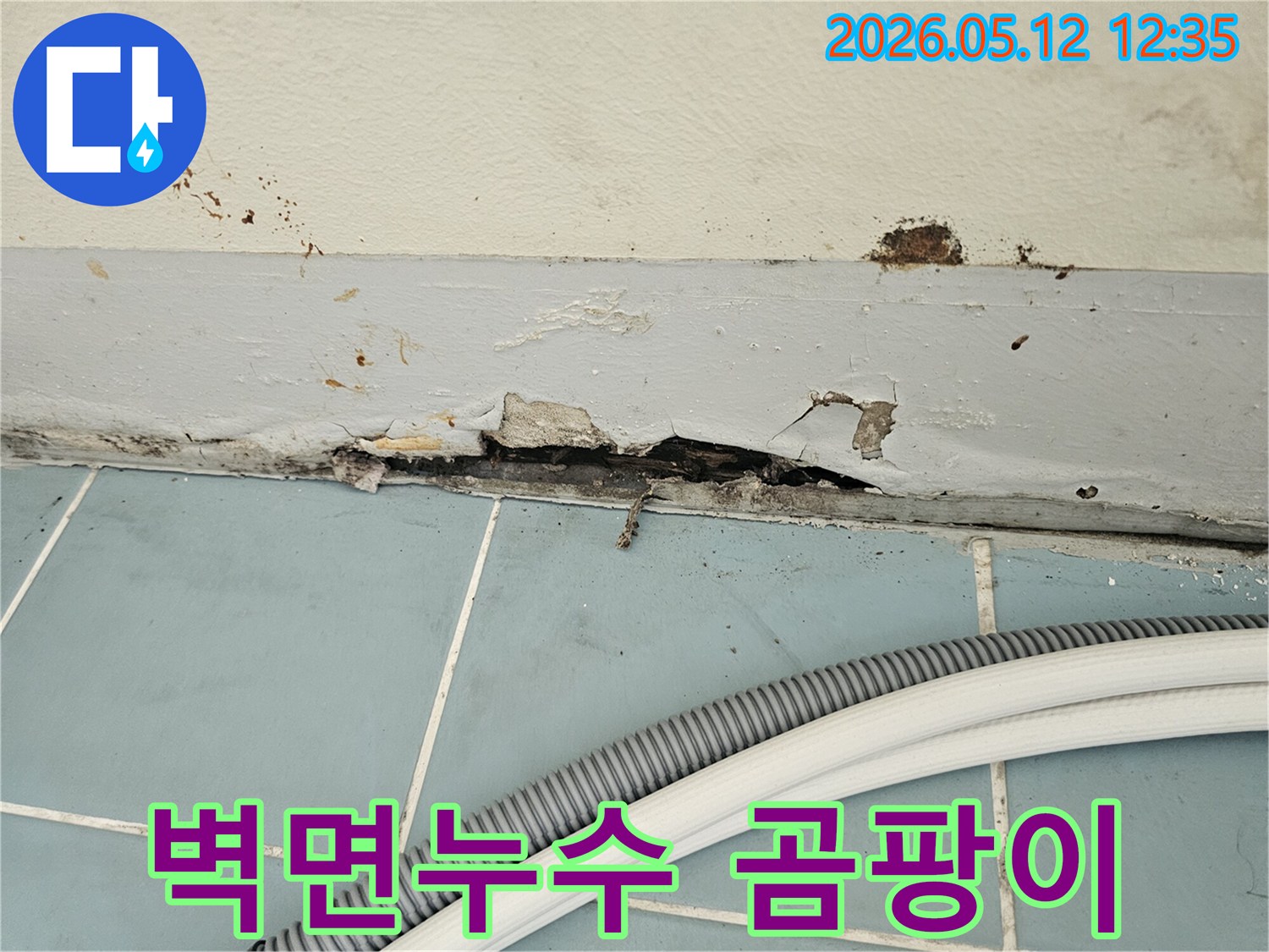 벽과-타일-경계면에서-발생한-심각한-누수-피해로-페인트가-벗겨지고-벽면이-손상된-모습