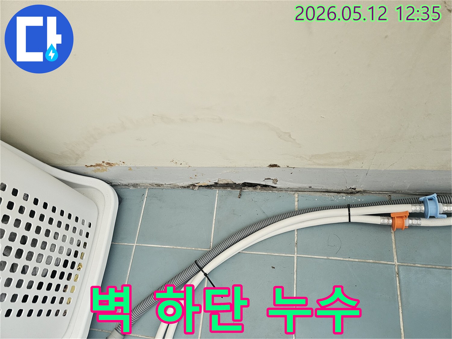 아파트 벽 하단에 스며든 물기로 인한 벽지 손상-곰팡이 발생-세탁기 배수 호스 근처