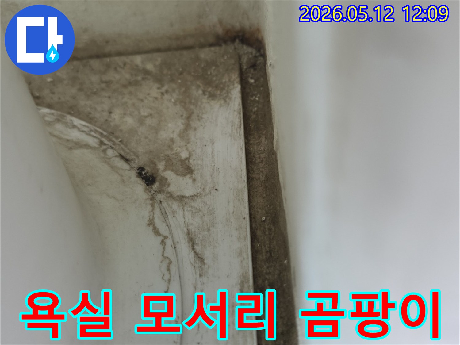 욕실-모서리-부분에-발생한-물샘-자국과-곰팡이로-인한-오염-현상